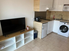 Studio Cabine Climatisé pour 4 avec Parking, à 10 min de la Plage, WIFI et Animaux Acceptés - FR-1-749-5
